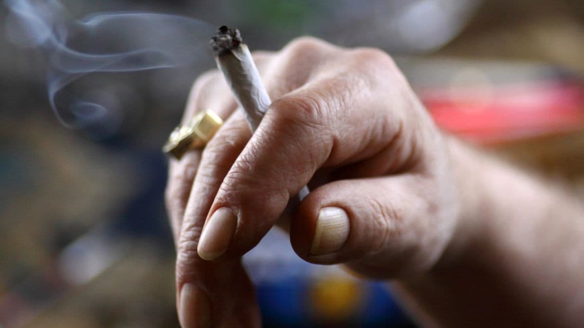 Dutch Care Home Permits Regulated Alcohol and Cannabis Use for Addicted Elderly Residents