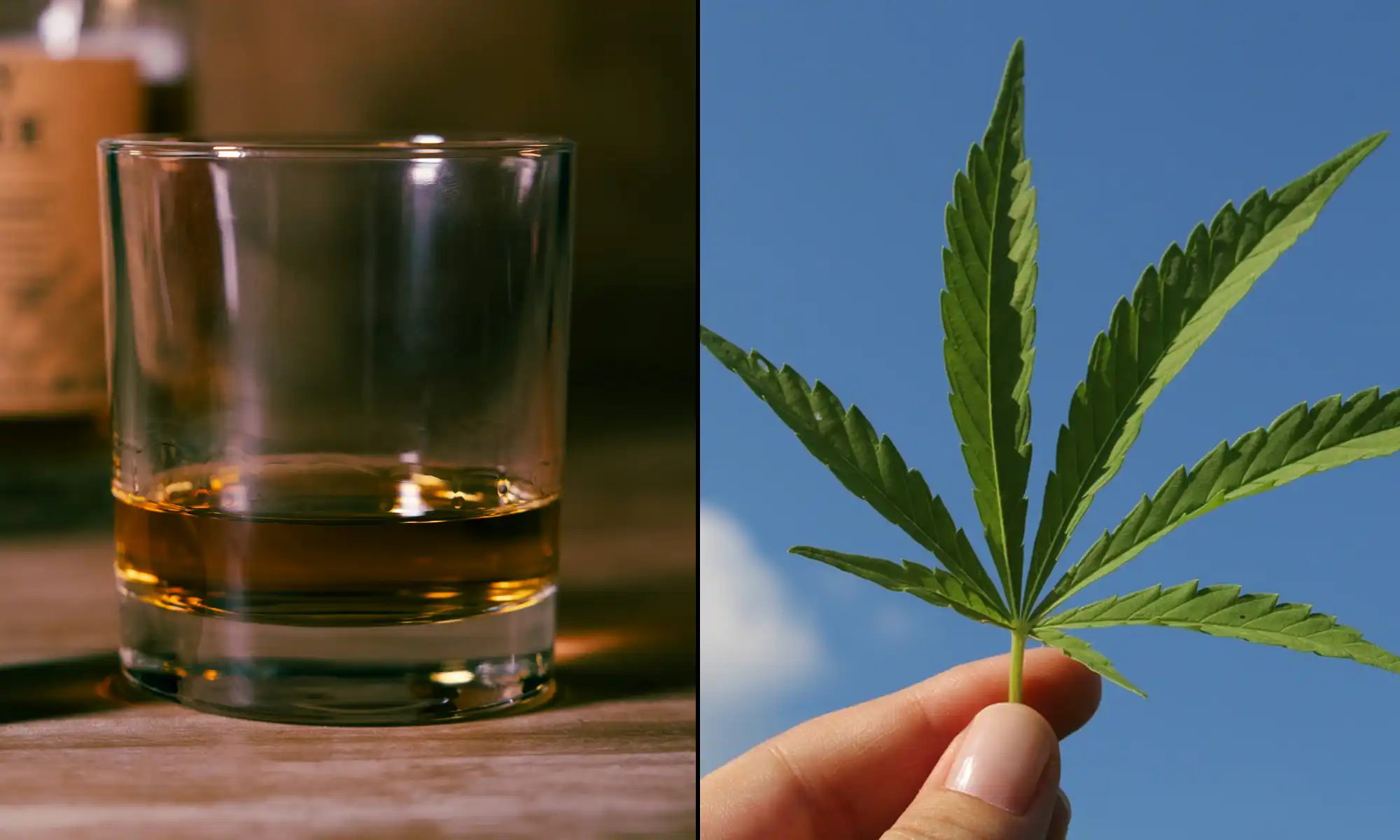 Major Alcohol Lobby Endorses Bill to Allow Hemp THC Beverages, Seeks Tax Dialogue