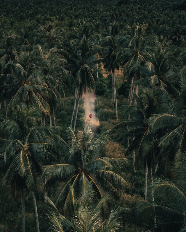 Il fascino naturale di Ko Chang con il parco nazionale intatto