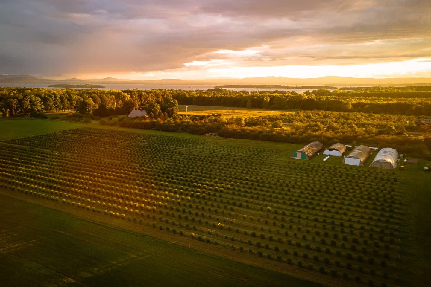 US Federal Conservation Funds Exclude Cannabis Growers Despite Regenerative Boom