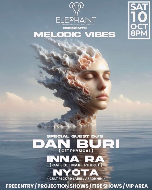 Melodic Vibes Party with Fire Shows at Elephant Beach Club