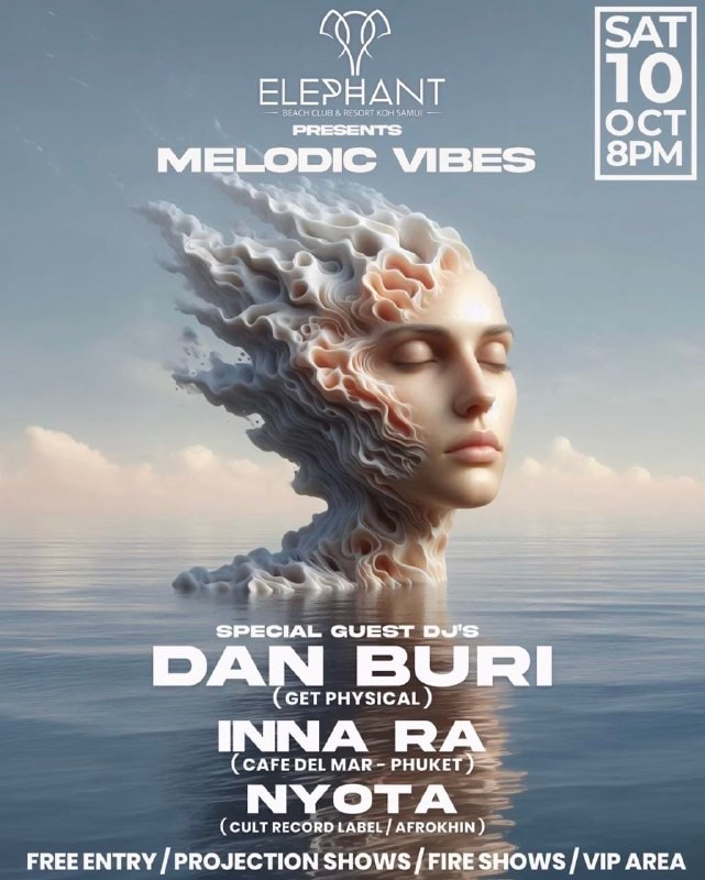 Вечеринка Melodic Vibes с огненными шоу в Elephant Beach Club